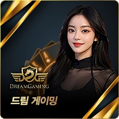 드림게이밍 카지노