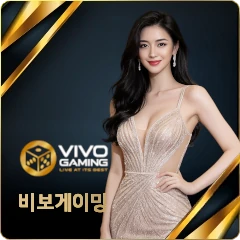 비보