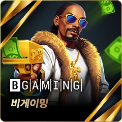 비게이밍 슬롯